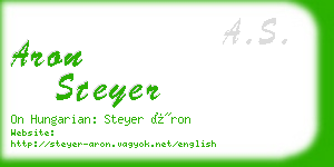 aron steyer business card